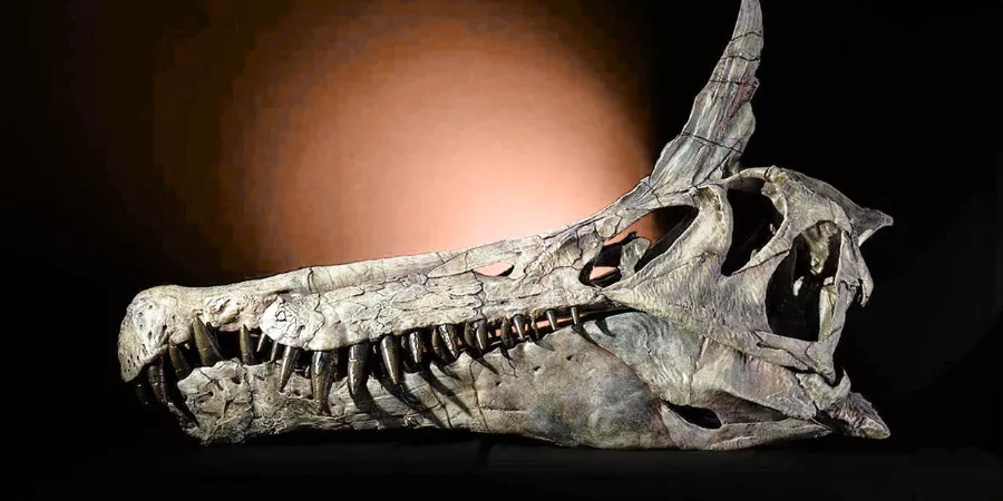 Hell Heron Dinosaur Hell Heron Dinosaur